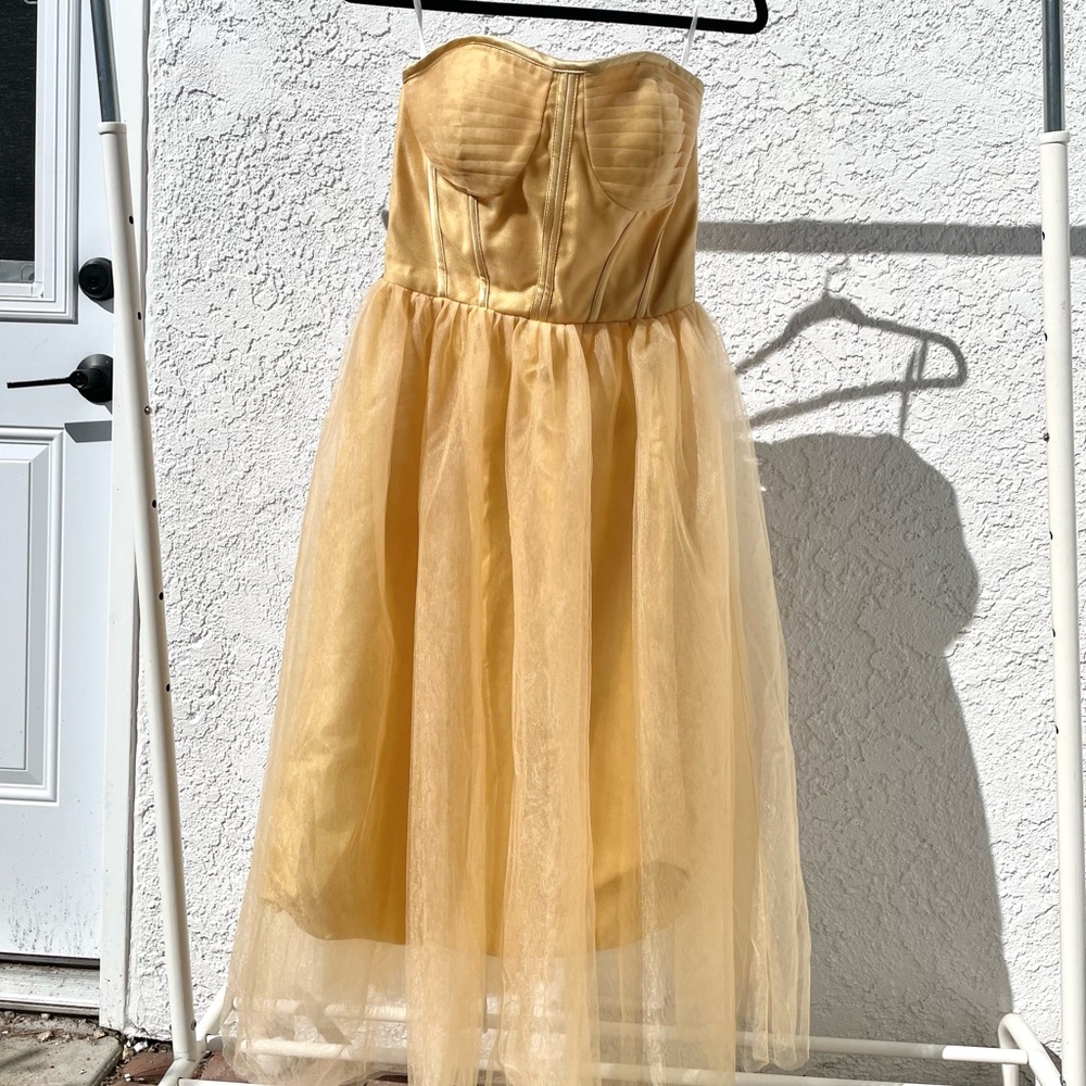 Corset Tulle Dress